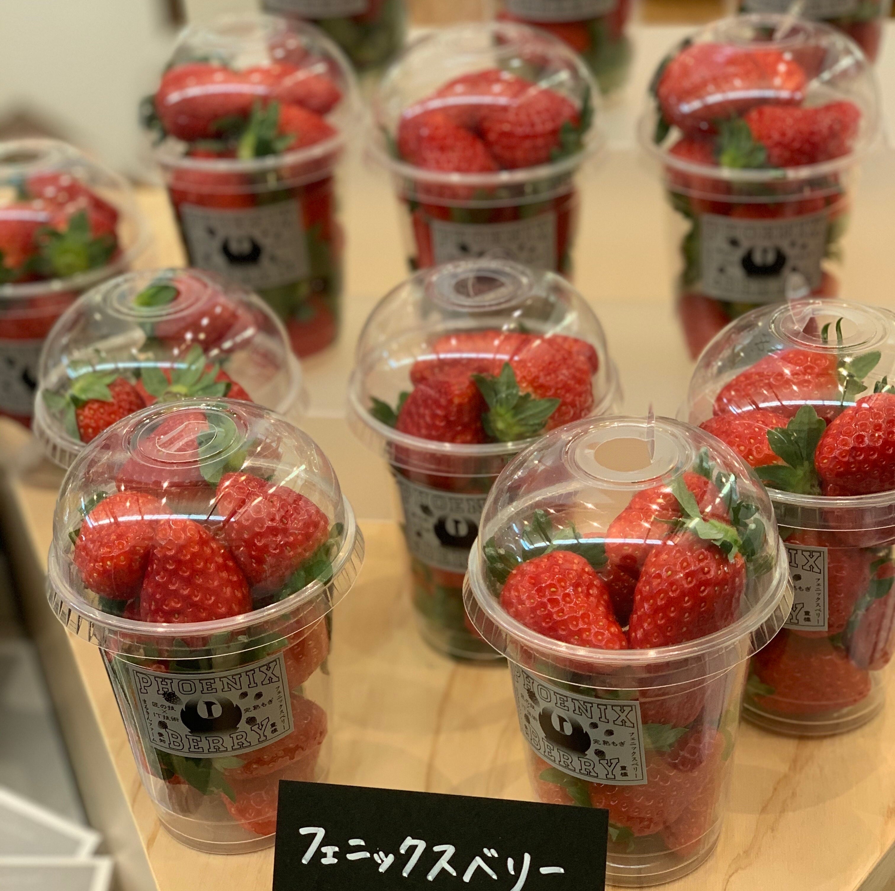 まるきんファーム フェニックスベリー（屋内）