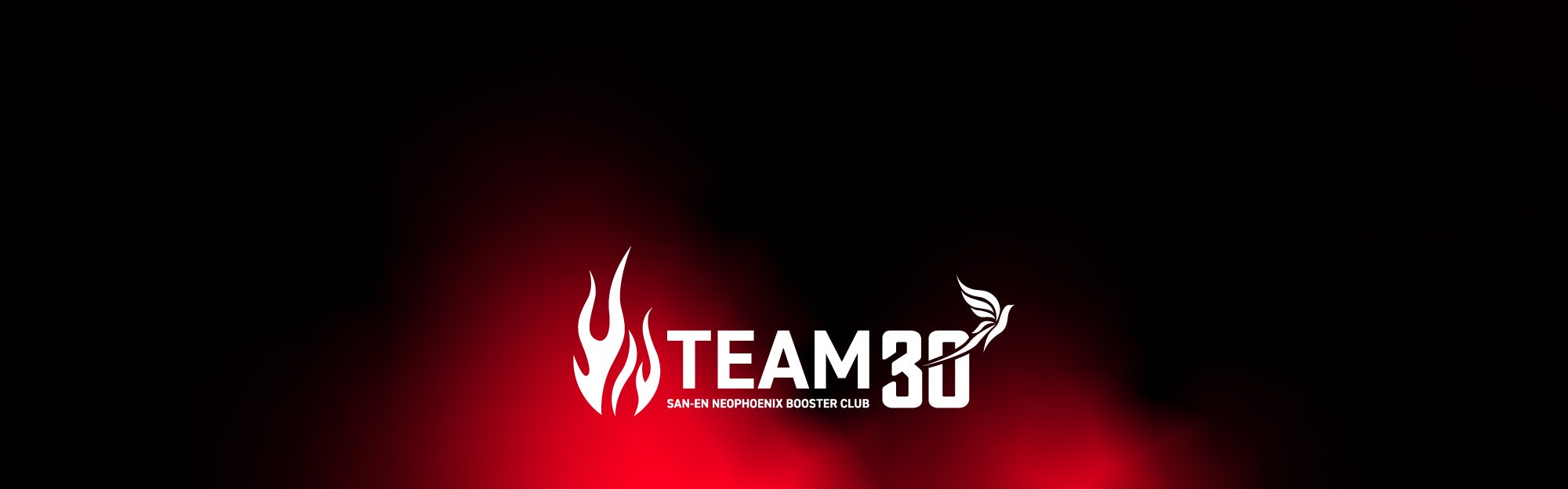 team30 image