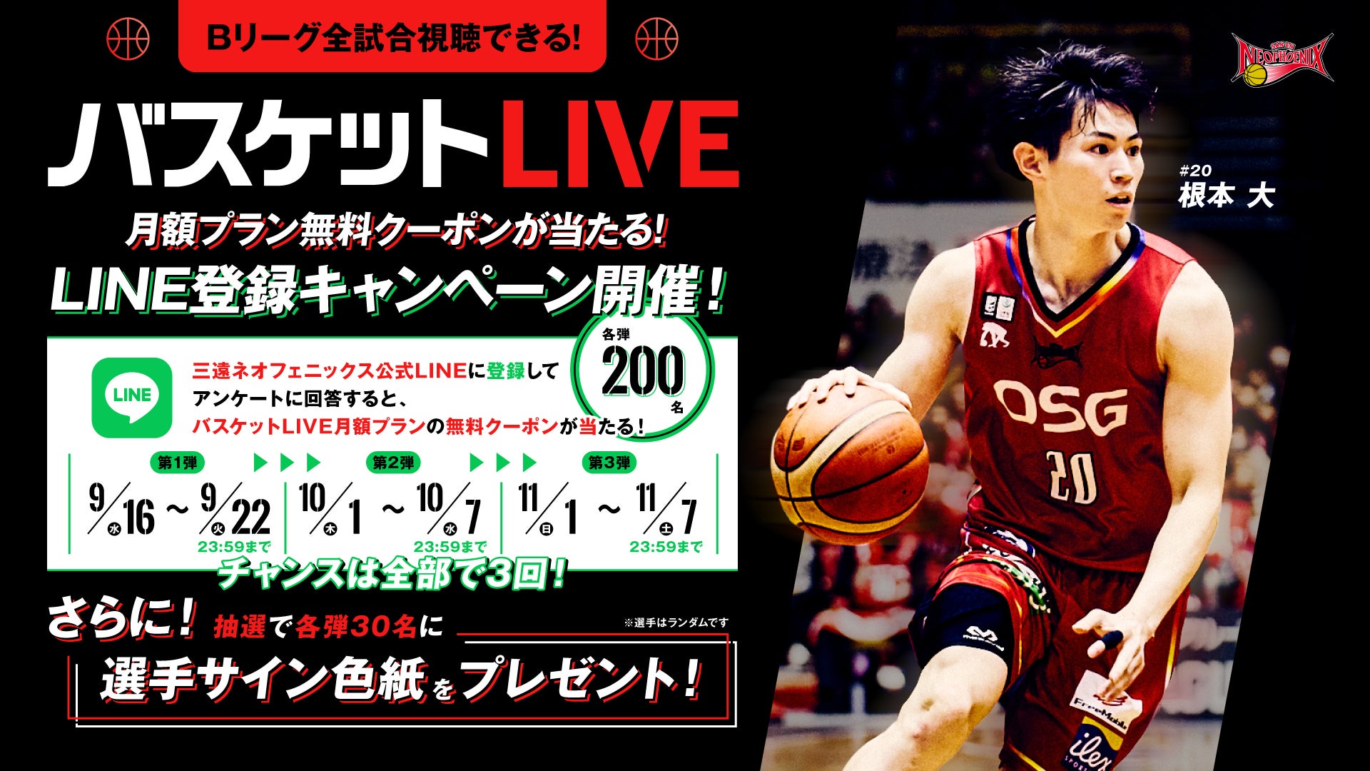 バスケットLIVE月額プラン無料クーポンが当たる！LINE登録キャンペーン開催のお知らせ